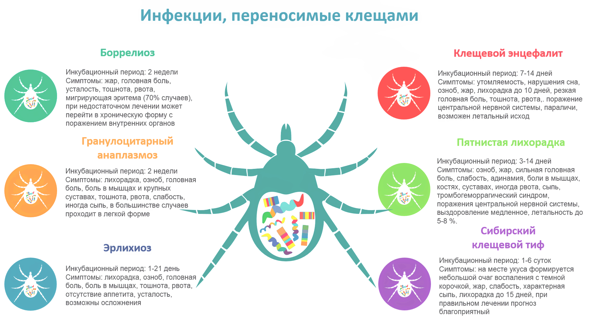 Клещи на загородном участке, обработка участка от клещей