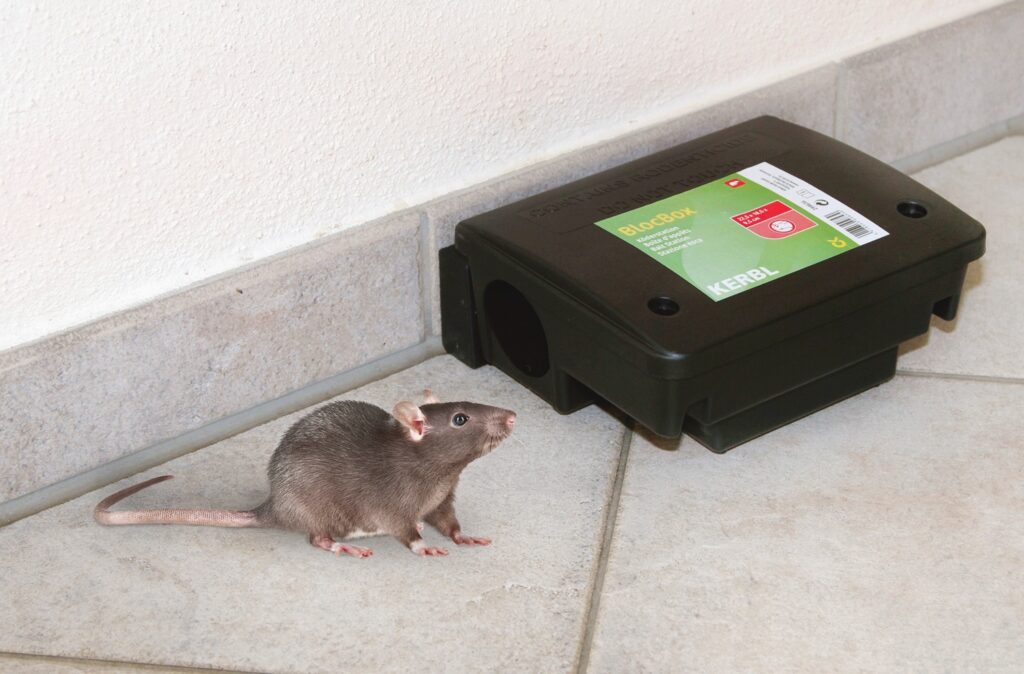 контроль грызунов