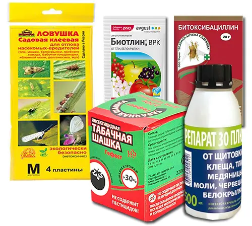 sredstva ot belokrylki