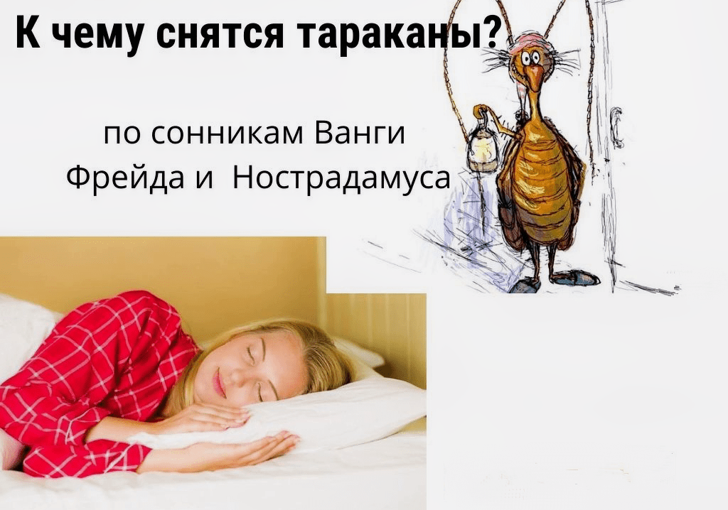 snyatsya tarakany zhenshchine